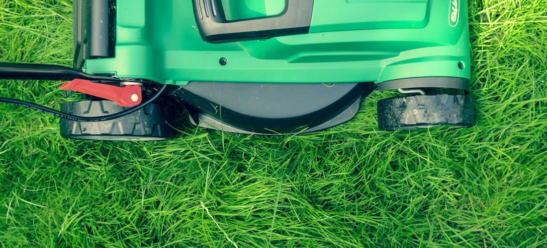 Lawnmower Buying Guide: Find the Right Tool for a Perfect Lawn 