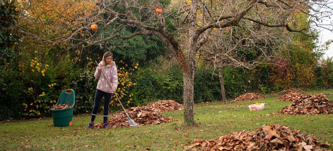 Autumn Gardening: How to Prepare Your Garden for Winter