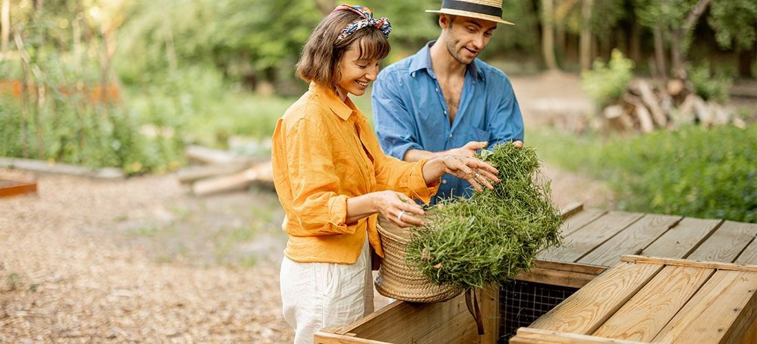 Couple throwing grass into a wooden compost heap.