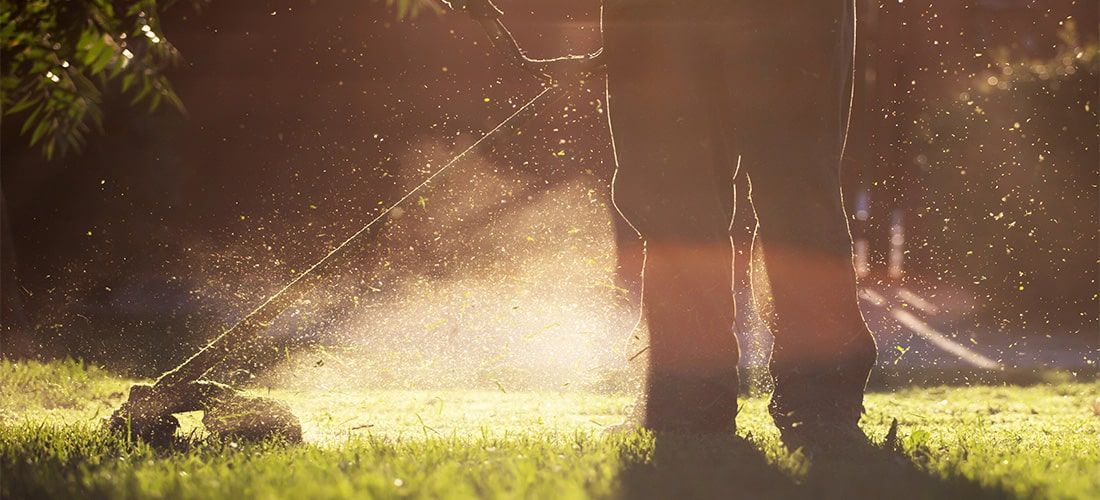 Homeowner mowing green lawn with lawn mower.