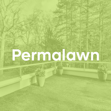 Permalawn