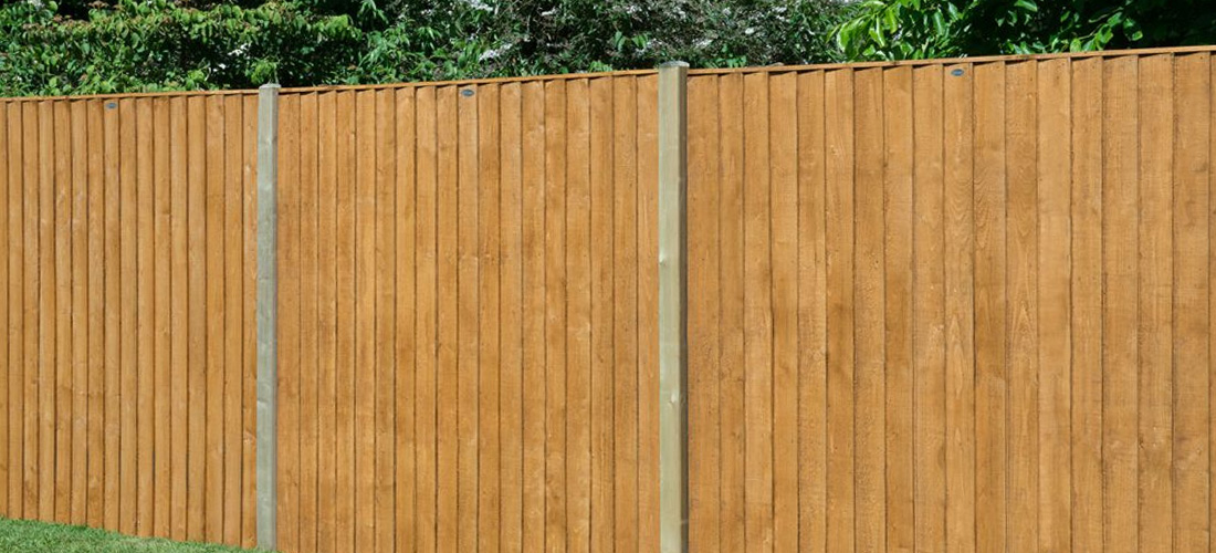 Featheredge fencing in garden