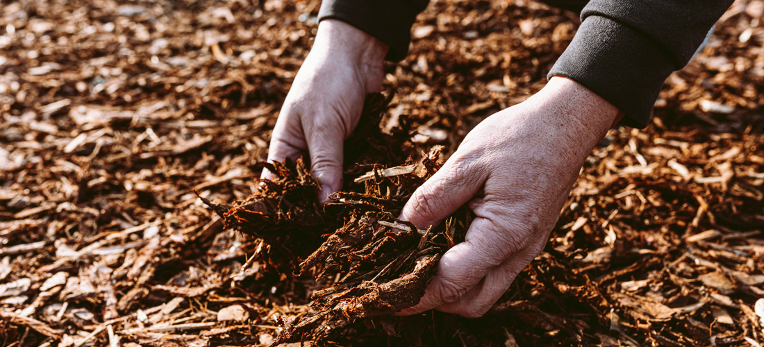 Wood chipping being used in garden