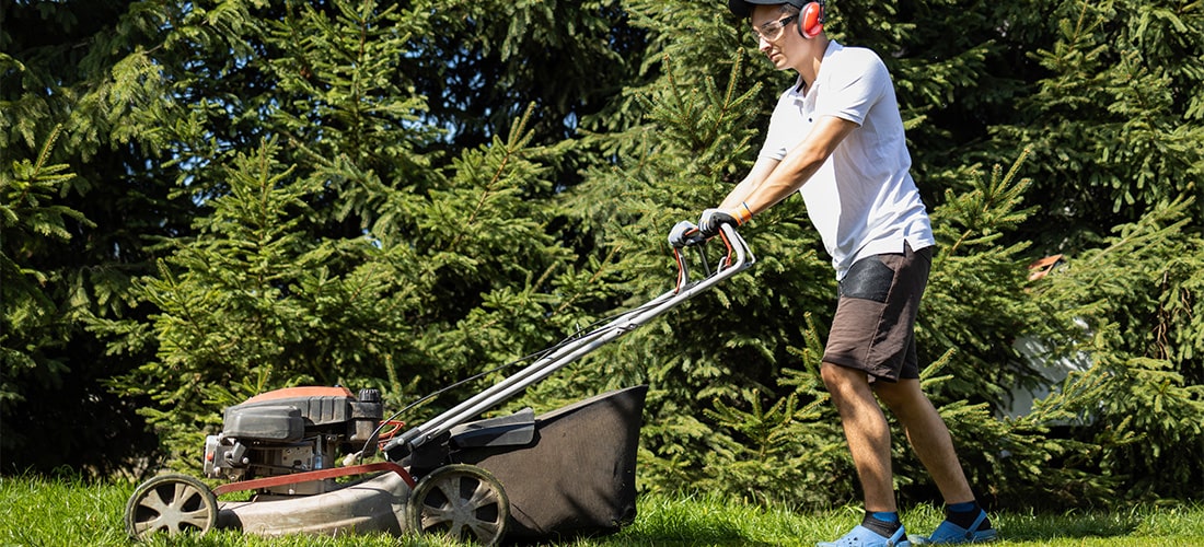 Gardener mowing lawn.