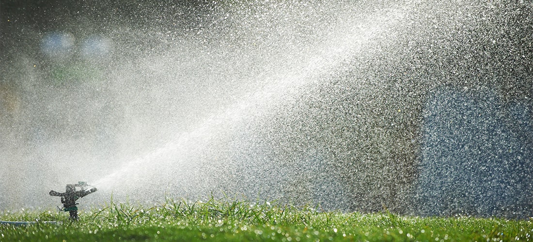 Lawn sprinkler watering grass.