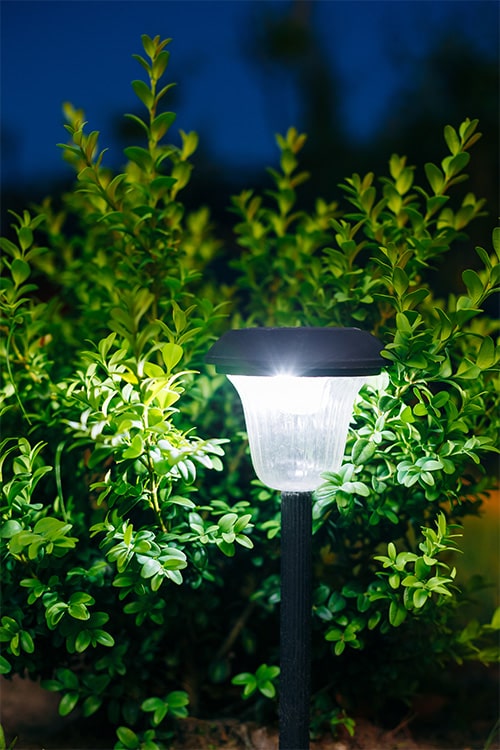 Solar post light by small bush in garden.