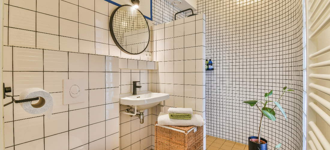 toilet and shower segregated in bathroom